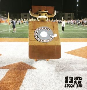 Image post by @utexasspirit on Instagram