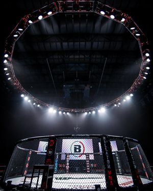 Image post by @bellatormma on Instagram
