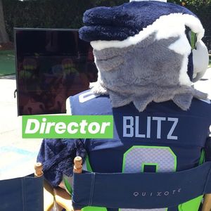 Image post by @blitztheseahawk on Instagram