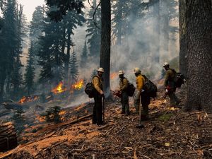 Image post by @foxweather on Instagram