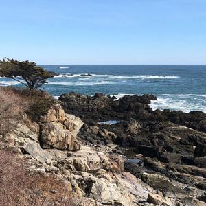 Image post by @themainemag on Instagram