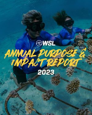 Image post by @wsloneocean on Instagram