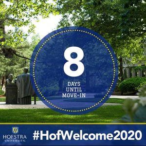 Image post by @hofstrau on Instagram