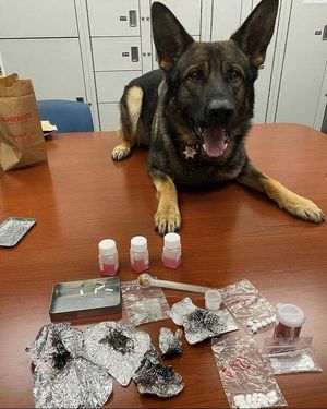 Image post by @vcsheriff on Instagram