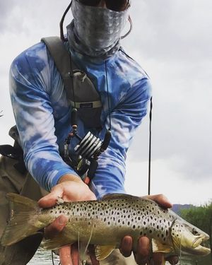 Image post by @wyndhamclark on Instagram