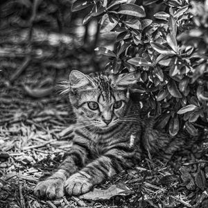 Image post by @catocataldo on Instagram