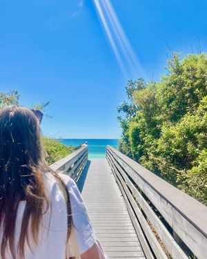 Image post by @samfordpanhellenic on Instagram