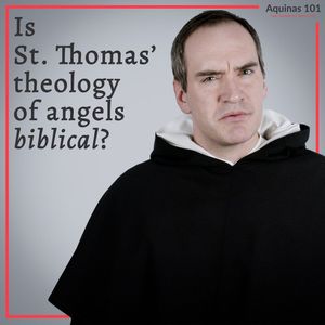 Image post by @thomisticinstitute on Instagram