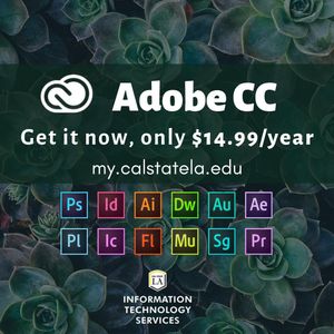 Image post by @mycalstatela on Instagram