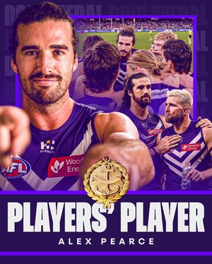 Image post by @freodockers on Instagram