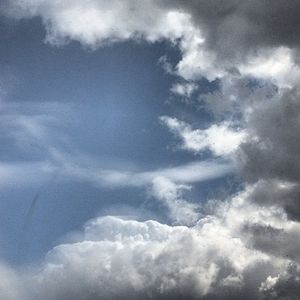 Image post by @finniles on Instagram