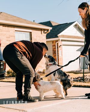 Image post by @leinbachphotography on Instagram