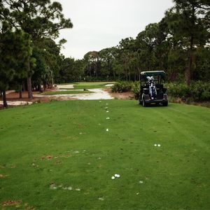 Image post by @lukedonald on Instagram