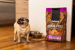 Image post by @evolvepetfood on Instagram