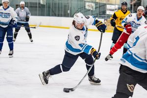Image post by @esehockey on Instagram