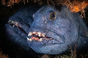 Image post by @natgeo on Instagram