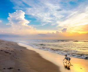 Image post by @jpotterphoto on Instagram