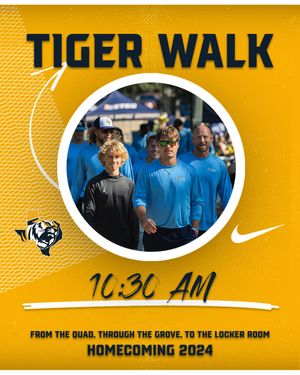 Image post by @goetbutigers on Instagram