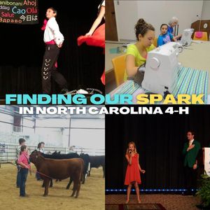 Image post by @northcarolina4h on Instagram