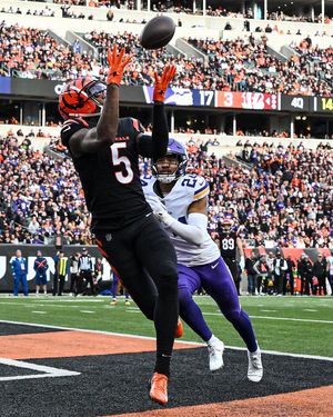 Image post by @bengals on Instagram