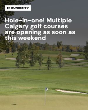 Image post by @curiocitycalgary on Instagram