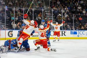 Image post by @TheAHL on Twitter