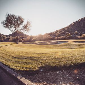 Image post by @wilsongolf on Instagram