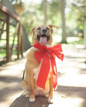 Image post by @berithovaphotography on Instagram