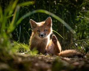 Image post by @natgeo on Instagram