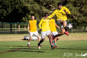 Image post by @hzwmedia_ on Instagram