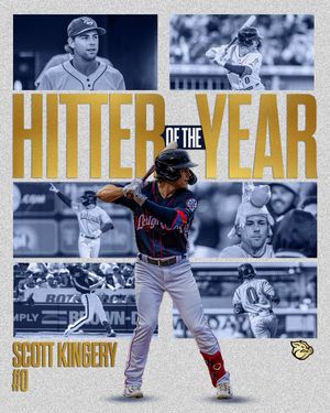 Image post by @IronPigs on Twitter