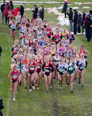 Image post by @ballstatetfxc on Instagram