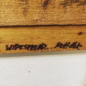 Image post by @shakeygraves on Instagram