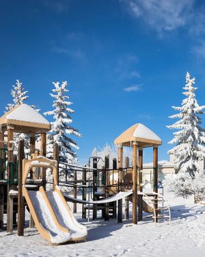 Image post by @cityofcalgary on Instagram