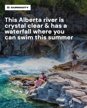 Image post by @curiocitycalgary on Instagram