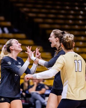 Image post by @ncaavolleyball on Instagram