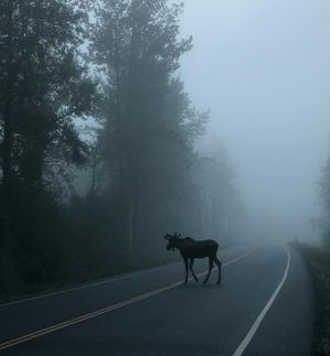 Image post by @nationalparkservice on Instagram