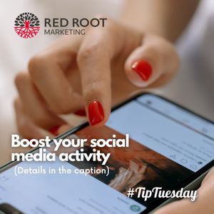 Image post by @redrootmarketing on Instagram