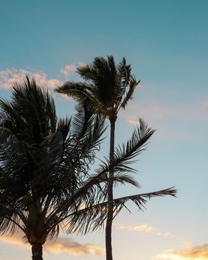 Image post by @ethano.media on Instagram