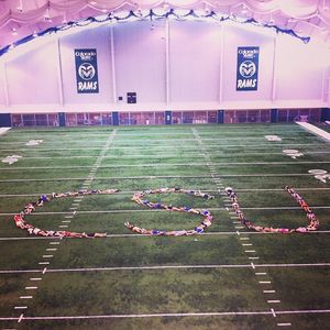 Image post by @csugoldenpoms on Instagram