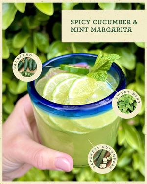 Image post by @bonnieplants on Instagram