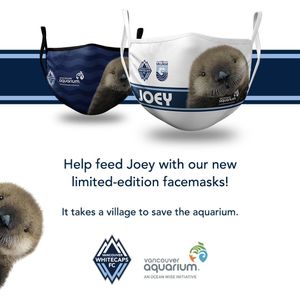Image post by @whitecapsfc on Instagram