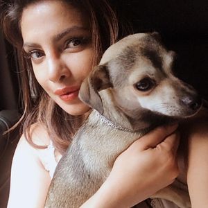 Image post by @priyankachopra on Instagram
