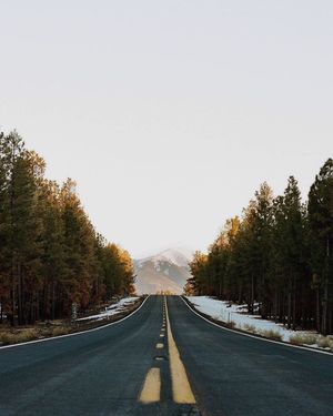 Image post by @nauflagstaff on Instagram