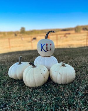 Image post by @universityofkansas on Instagram