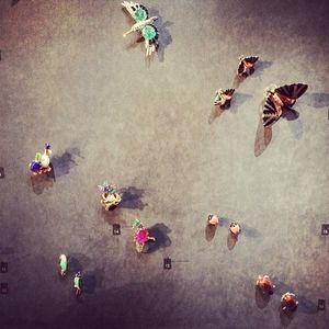Image post by @micaela on Instagram