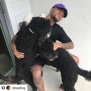 Image post by @neweracap on Instagram