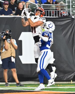 Image post by @bengals on Instagram