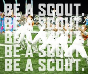 Image post by @madisonscouts on Instagram