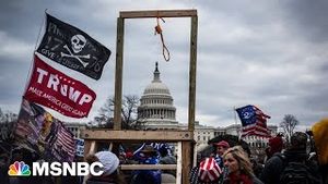 Video post by @msnbc on YouTube
